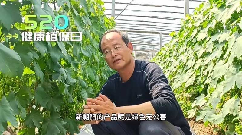 520健康植保日——擁抱綠色農(nóng)業(yè)，我們在行動
