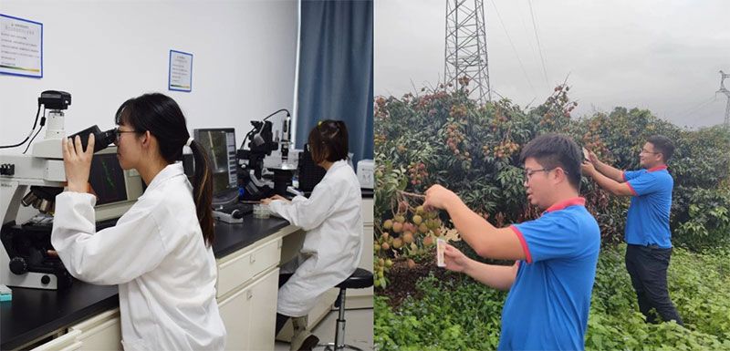 打造新朝陽生物科技“五張名片”，服務(wù)農(nóng)業(yè)高質(zhì)量發(fā)展！